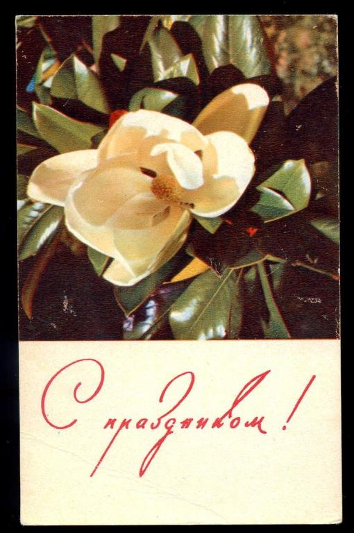 С праздником - Хоменко В - 1968 год  (Л-6)