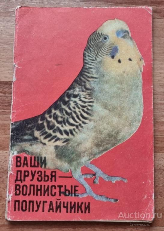 Феч Ваши друзья - волнистые попугайчики Серия Братья наши меньшие Издательство Кишинев Huperion 1991
