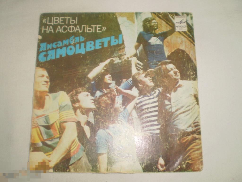 САМОЦВЕТЫ - Цветы на асфальте - Миньон 