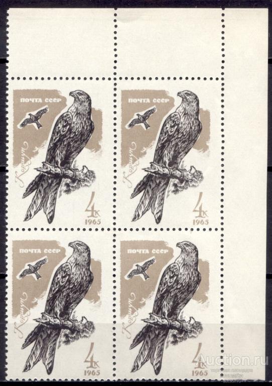СССР 1965 Фауна Хищные птицы Коршун 1мар** квартблок Св # 3286 |С11-58|