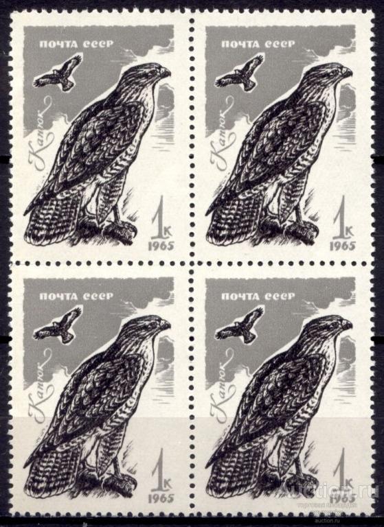 - СССР 1965 Фауна Хищные птицы Канюк 1мар** квартблок Св # 3283 |С11-56|