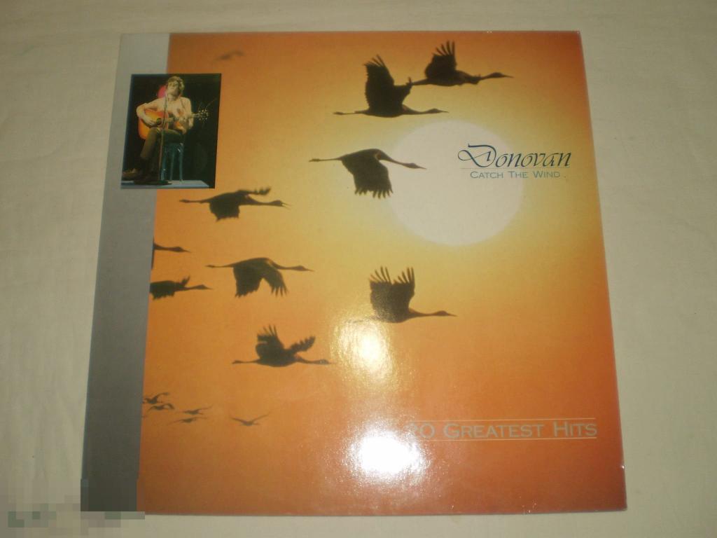 Donovan ‎– Catch The Wind - 20 Greatest Hits - LP - Europe