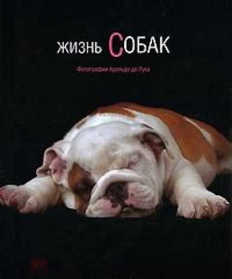 Лука Аральдо, Лука Аральдо Де Жизнь собак 