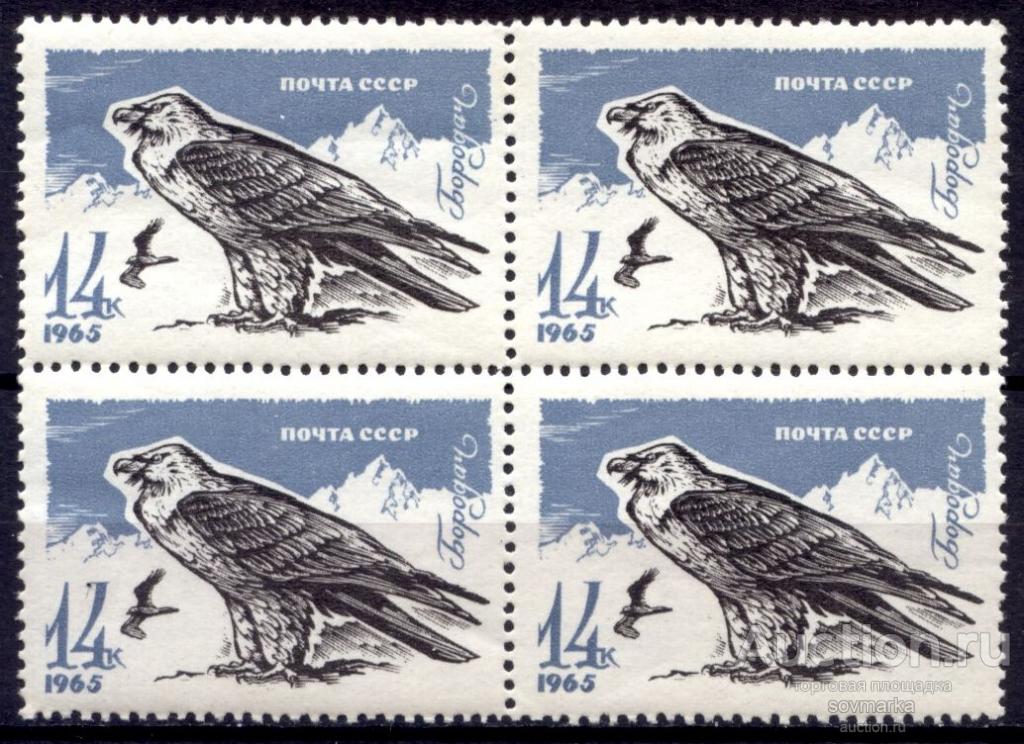 = СССР 1965 Фауна Хищные птицы Бородач 1мар** квартблок Св # 3289 |С11-57|