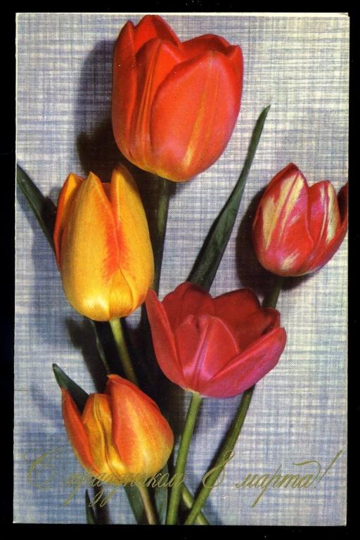 С праздником 8 Марта - Максимов Б - 1973 год (Л-16)