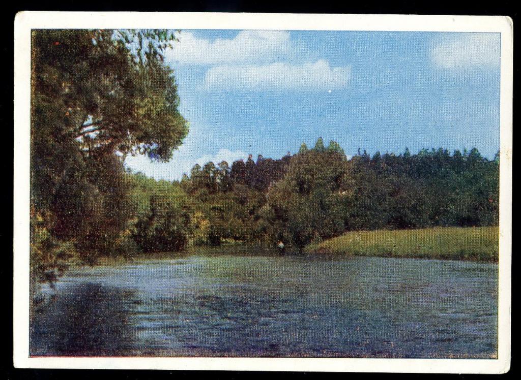 Подмосковье - Ревский Б - 1964 год (Л-13)