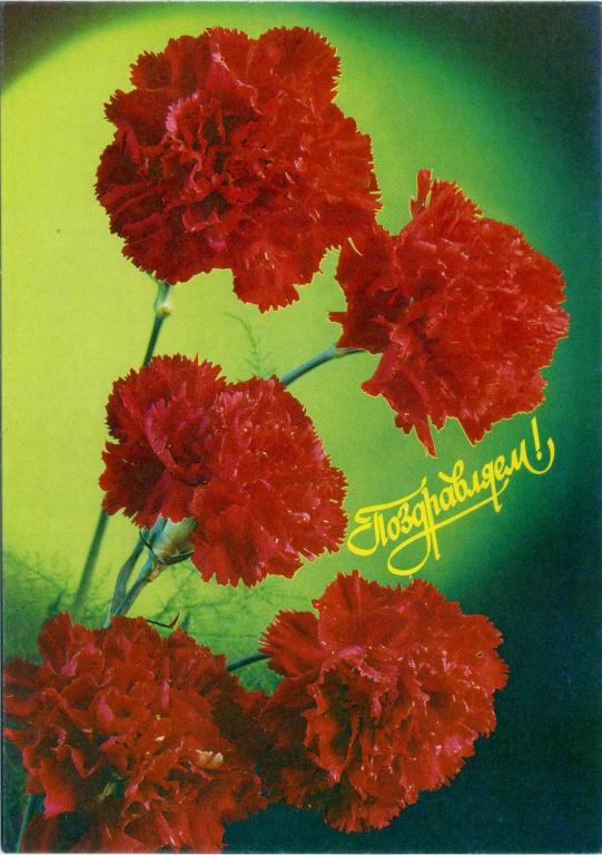 Россия (Г0708) ДМПК Маркированная Чистая Поздравляем! 1992 Цветы Костенко