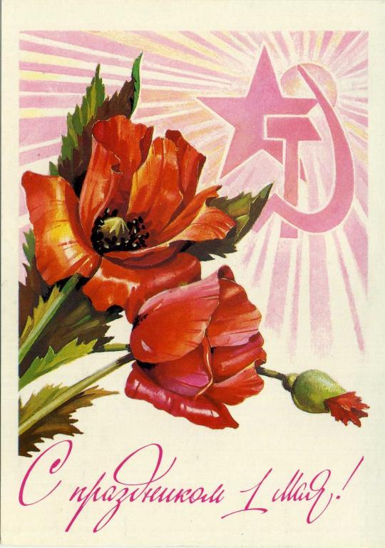 СССР (Г0702) ДМПК Маркированная Чистая С праздником 1 Мая! 1983 Цветы Плакаты Панченко
