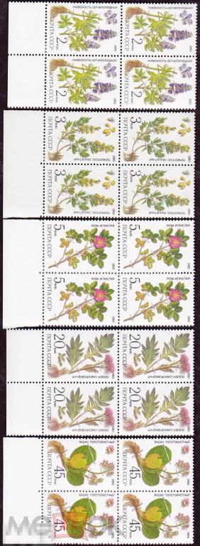 1985 г. № 5649-5653. Лекарственные растения (3) 