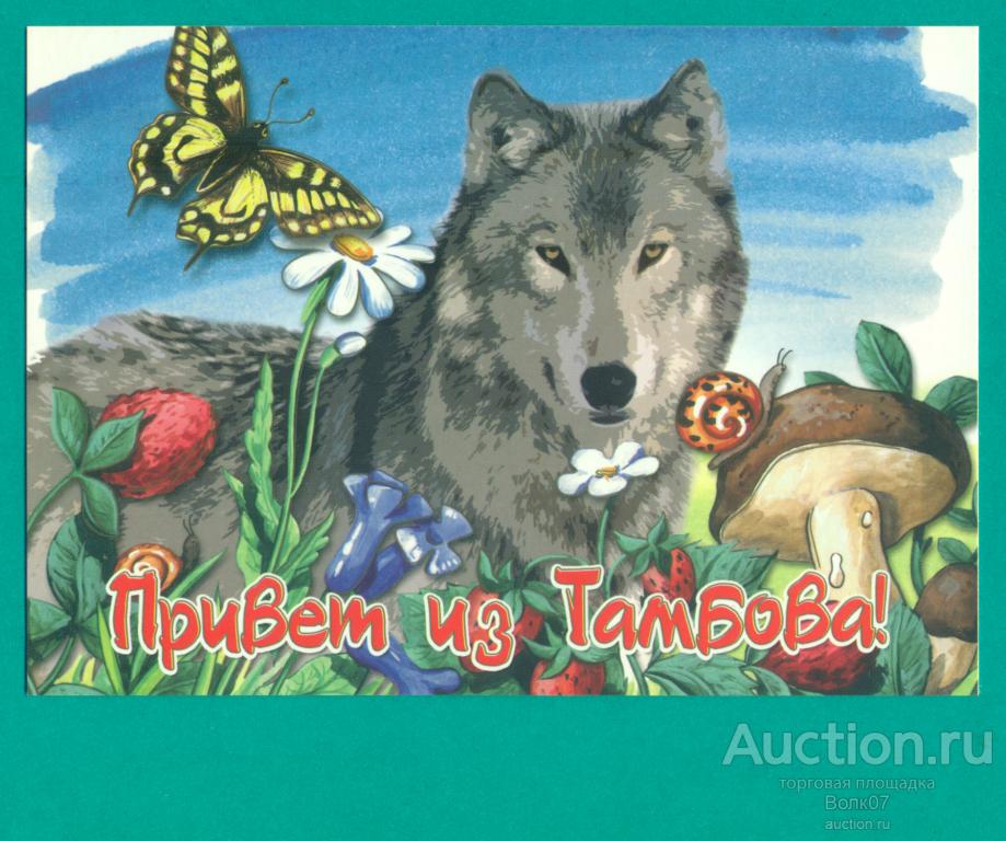 Тамбовский Волк Фото Картинки