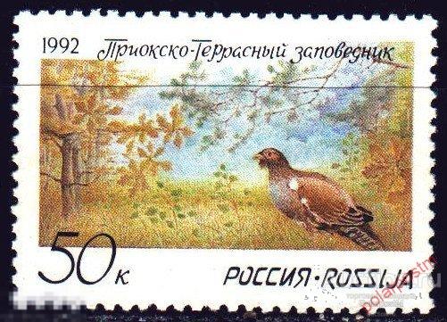 Y85 РОССИЯ 1992 9 Приокско-Террасный заповедник. Фауна. Птицы. Тетерев 