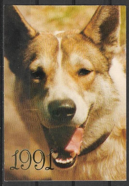 Календарик на 1991 г.  Фауна Собака