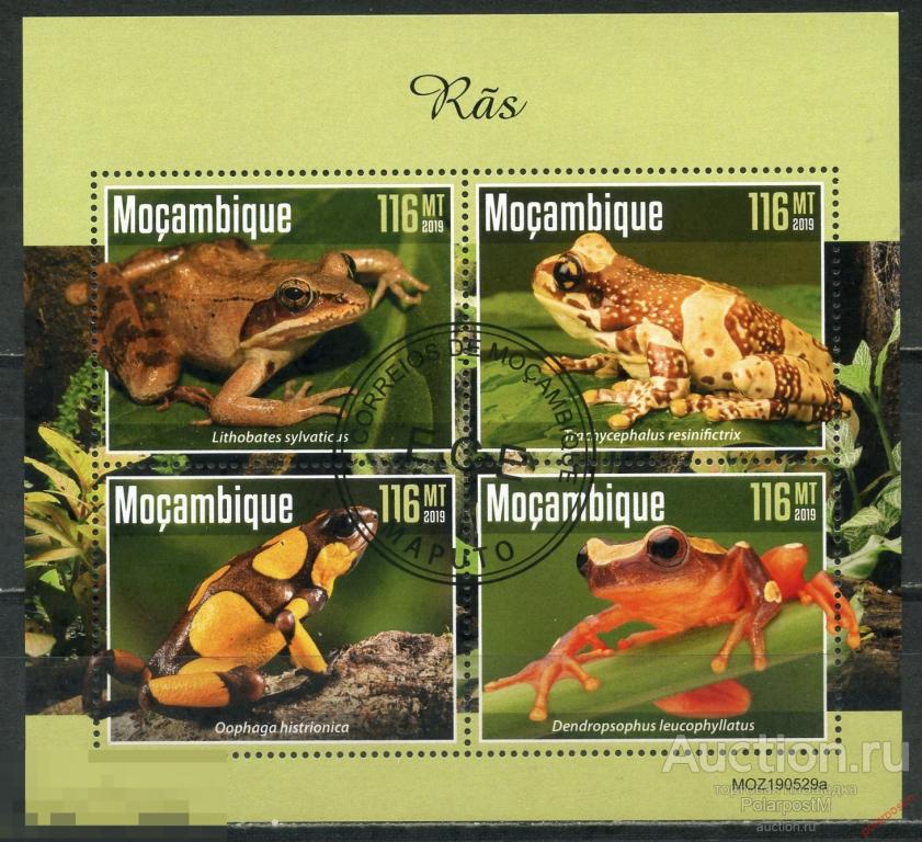 МОЗАМБИК 2019 М003 Фауна. Лягушки 