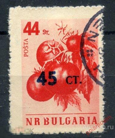 DG16 Болгария 1959 1115 Овощи. Помидоры. Растения. Флора. Надпечатка нового номинала 