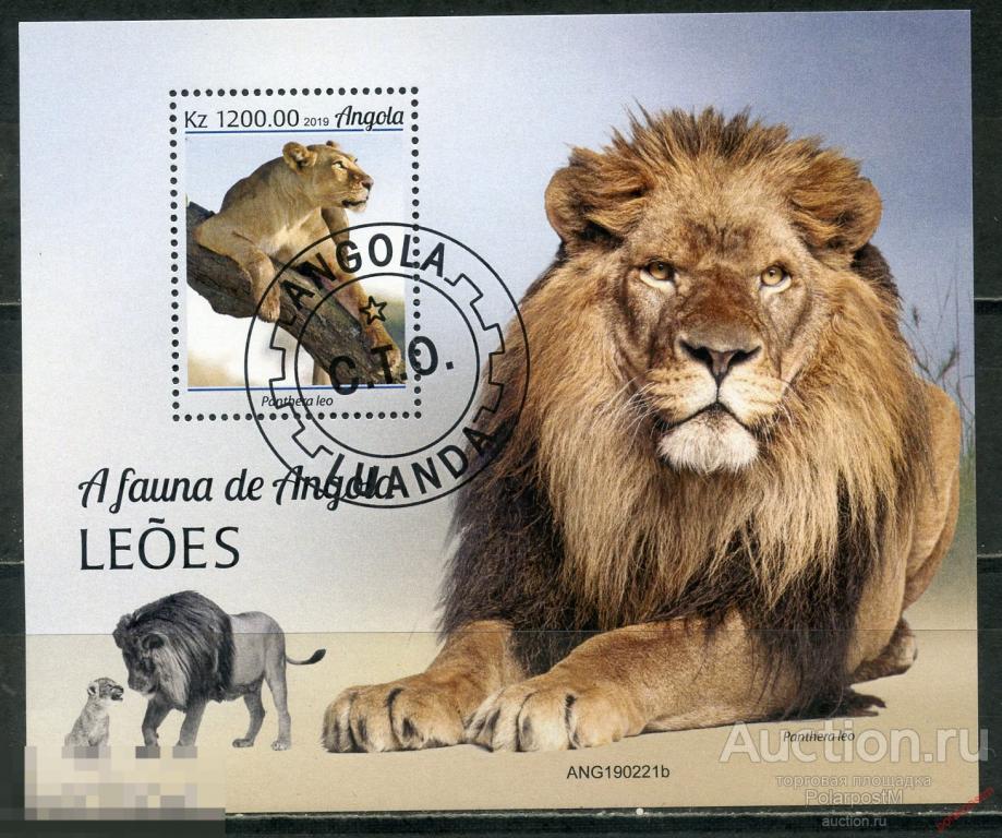 АНГОЛА 2019 AN004 2019 Фауна – Львы. Хищные кошки 