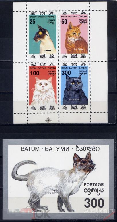 БАТУМ 1992 домашние кошки (ФАНТАСТИЧЕСКИЙ ВЫПУСК) 