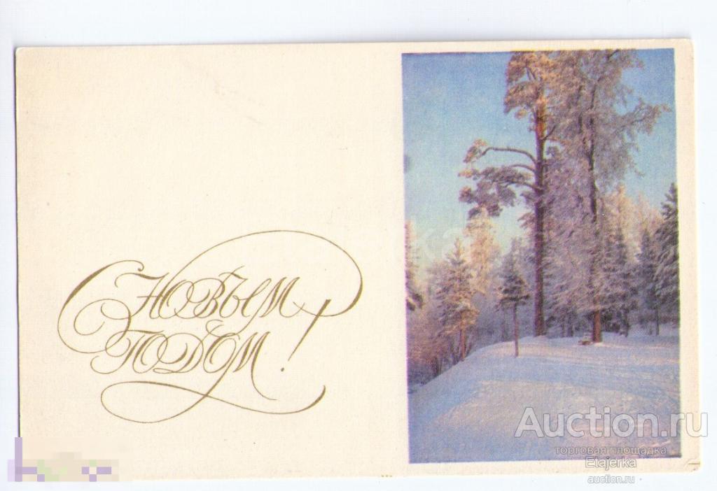 С новым годом. Сосны.Булгаков. Калинин. 1971. Зимний лес. чистая. 