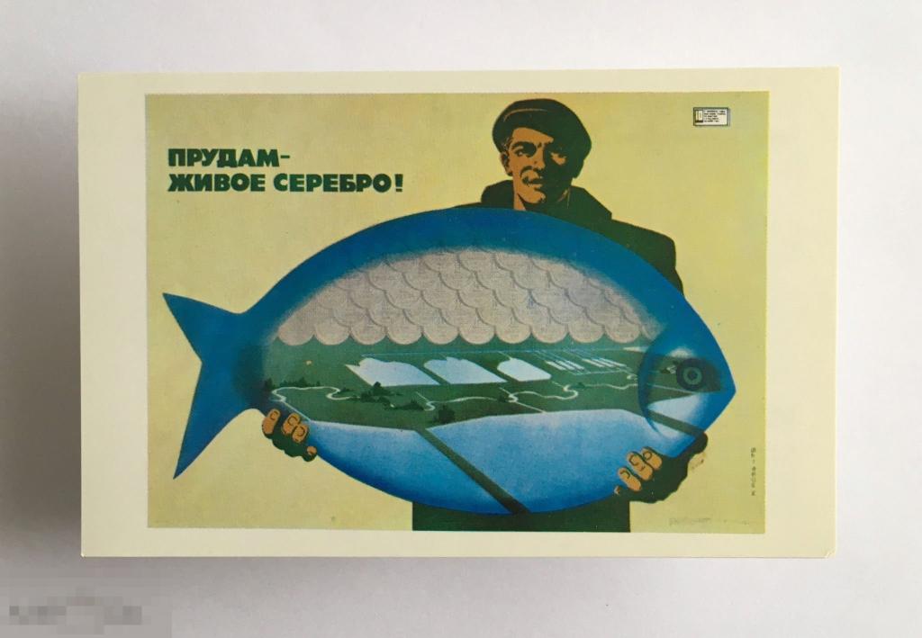 Прудам — живое серебро! Худ Пюсс Изд Плакат 1978 г. Чистая 