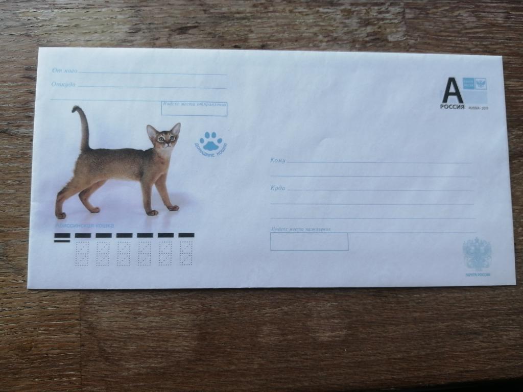Хмк, 2011г. Абиссинская кошка.