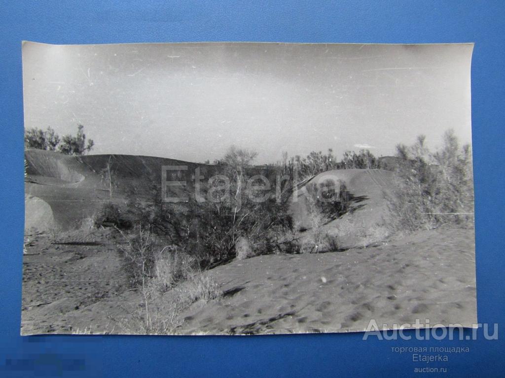 Работа в  пустыне.  АЗИЯ  .Туркмения ? Узбекистан ? Фото СССР . (ЛКВВИА) 