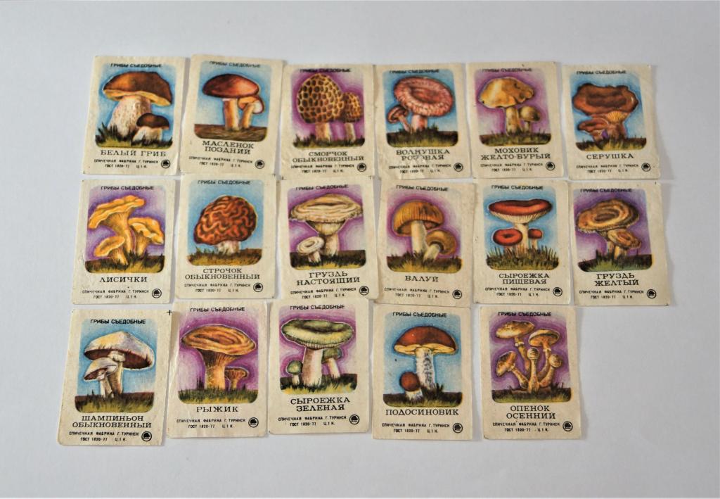 Спичечные этикетки Грибы. СССР.  г. Туринск. 1977г. 17 шт.