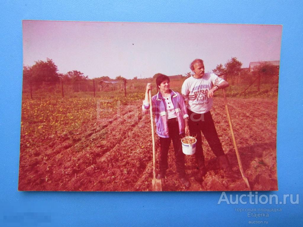 Женщина . Мужчина. Копают картошку   .     Фото  СССР.   (В1) 