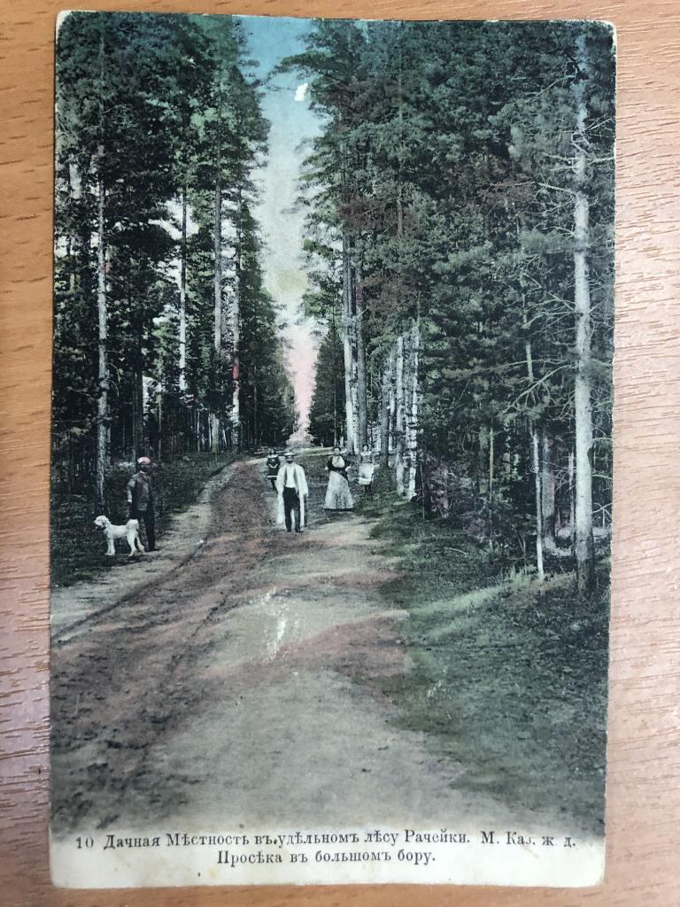 Старая открытка. Дачная Местность въ удельномъ лесу Рачейки.  М. Каз. ж.д.