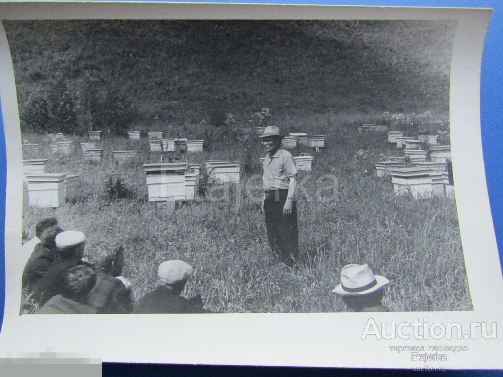 Учебная пасека.  Ульи.  Курсы  пчеловодов . 1970.   Фото СССР. ( пчеловод) 