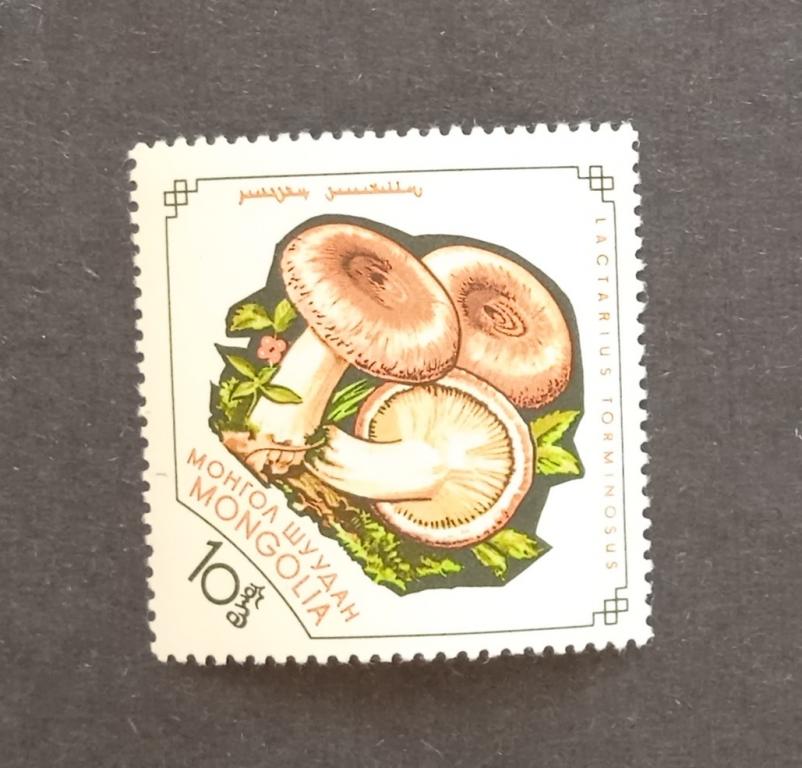Монголия 1964 Грибы 1м розовая волнушка Мих 346**
