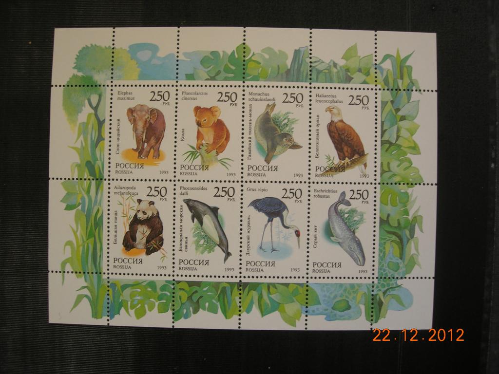 Россия 1993 фауна мира (малый лист) **