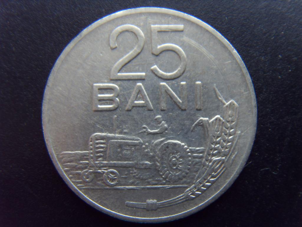 Лит оригинал. 25 Bani. 25 Бань.