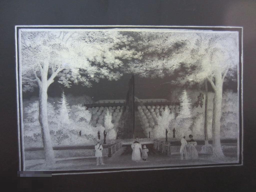 Старинный негатив фото пластина на стекле Фотопластины стеклянные . 