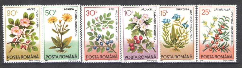 Румыния 1993г. Цветы. MNH.