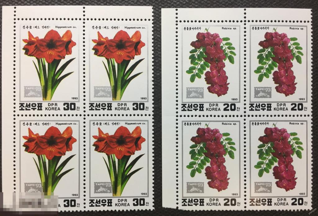 1993 КНДР Северная Корея Флора Цветы 3480-3481 КВАРТЫ ** А132 