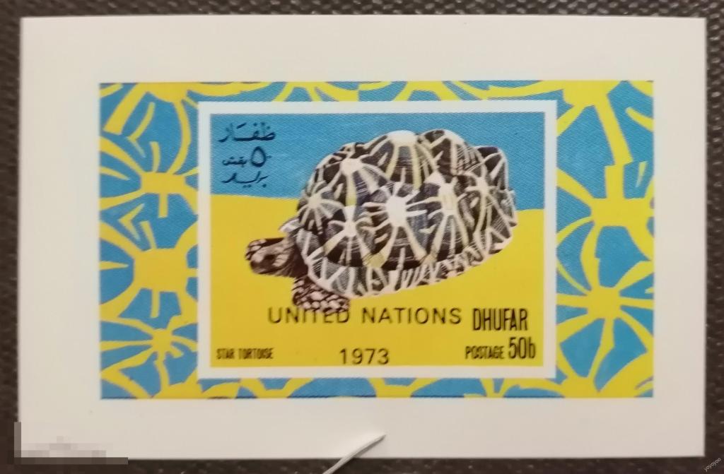 Дуфар Фауна Животные Черепаха ** А143-2 