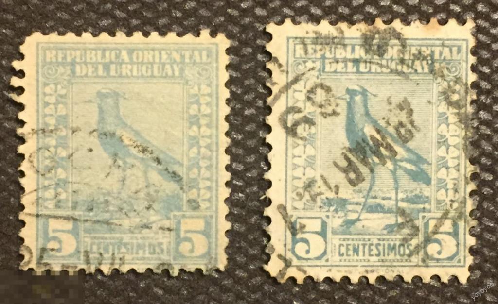 1923 Уругвай Стандарт Птица Фауна ГАШ А46__ 