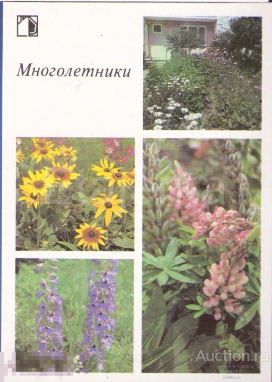 Люпин . Дельфиниум    .Ромашки .  Ваш приусадебный  участок  .   1987 . Цветы (впу) 