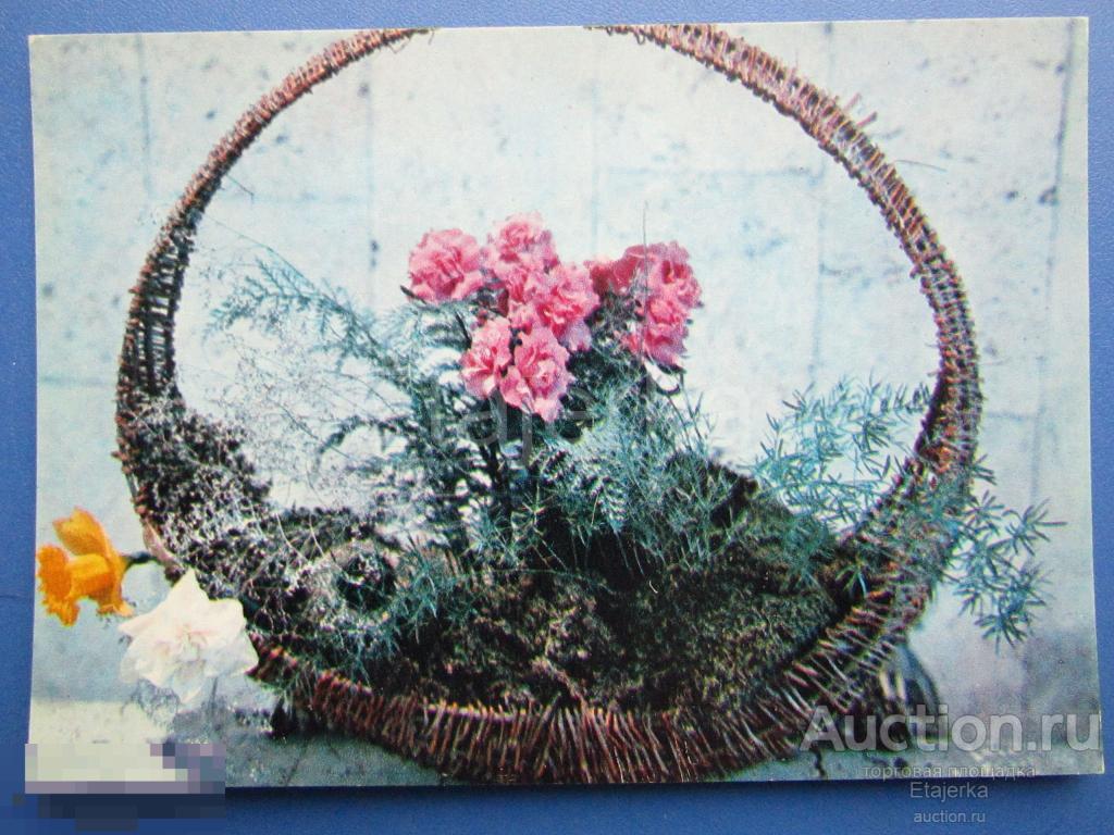 Цветы в  корзине  . 1976 .  Цветоводство  ВДНХ .  Цветы    (Цв)