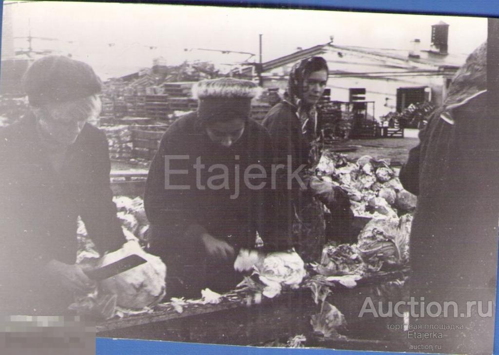 Девушки  Студенты  Работа в   колхозе   Капуста   Ленинград Фото СССР. ( ЛЭТИ) 
