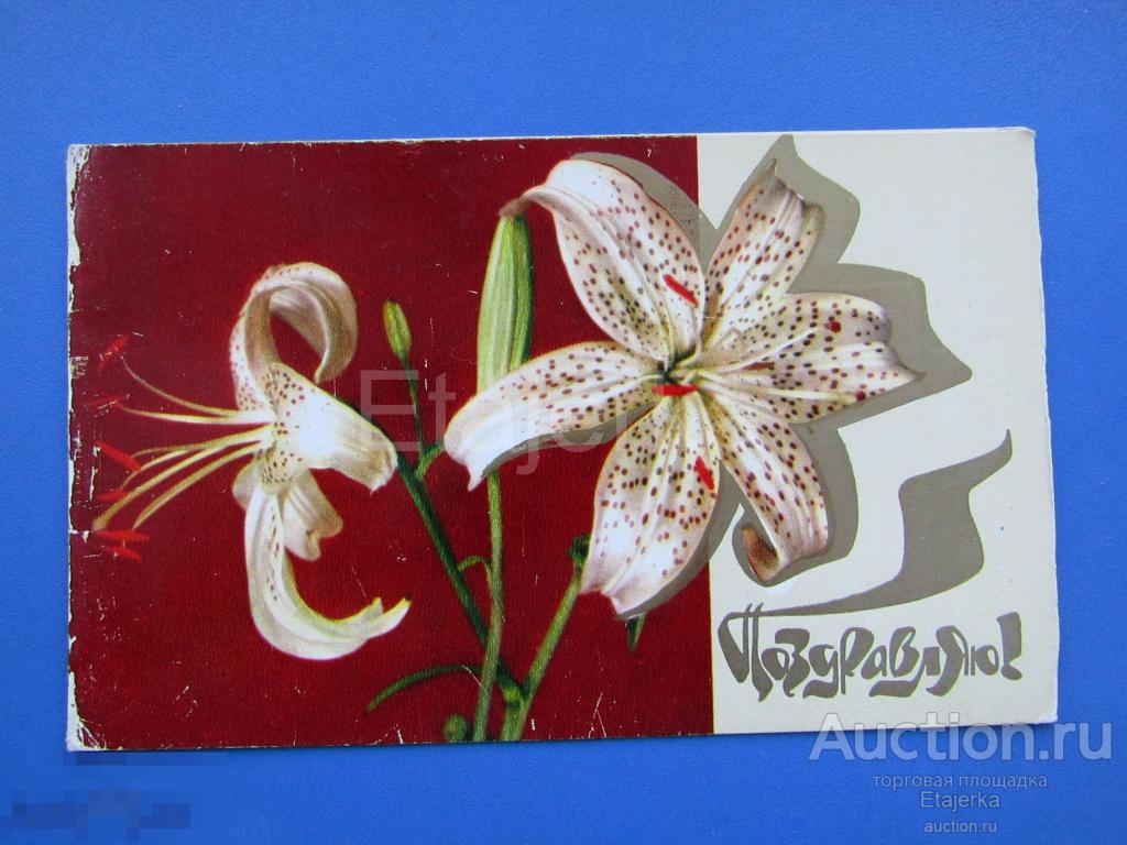 Поздравляю. Анни. 1982. цветы.Лилии. 