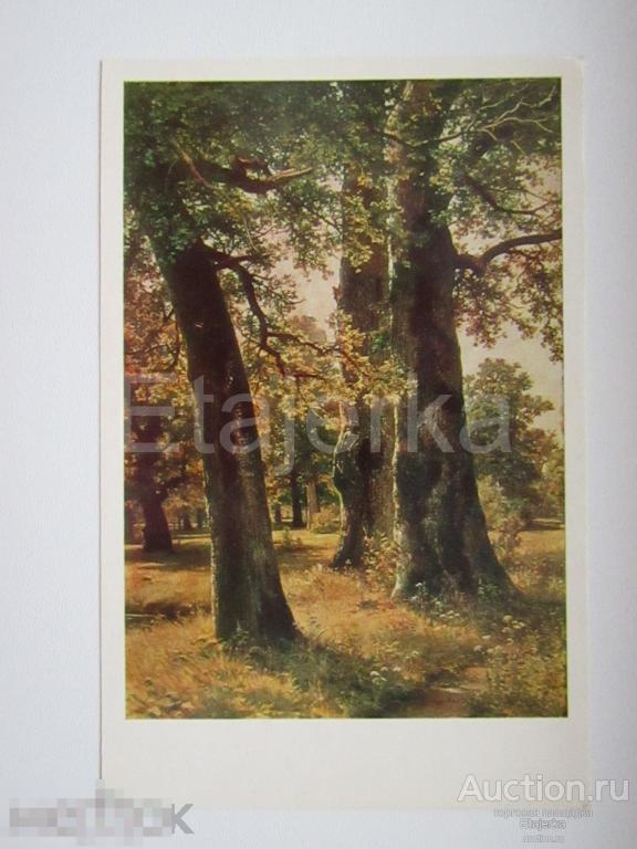 Дубы. Шишкин. 1979. живопись. 