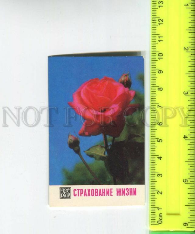 Розы Купить Книги Ссср