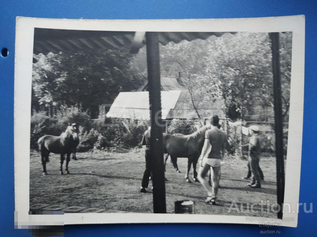 Парень. НЮ . Лошадь .  Фото СССР. Арх. П-8. 