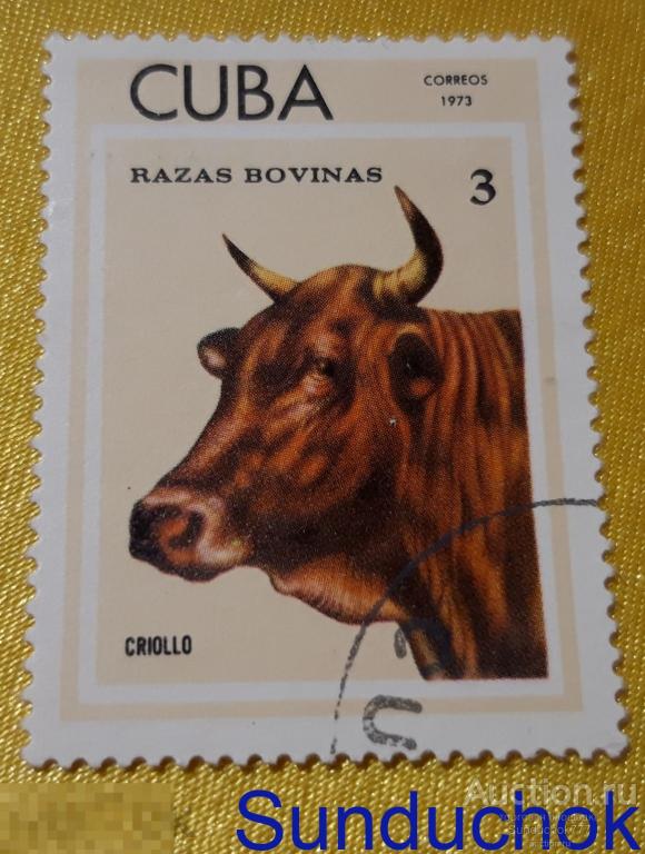 Домашние Животные. Криолло " Criollo. Серия: Breeds of cattle. Куба. CUBA. 1973 г.