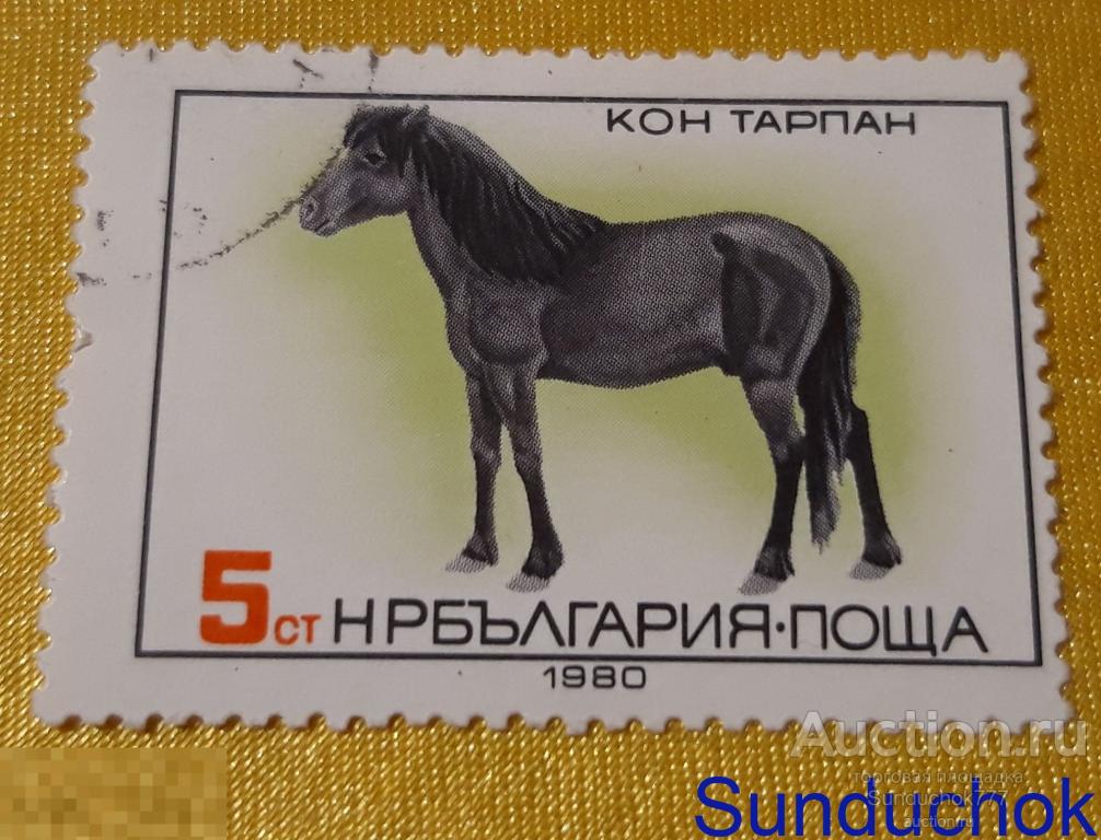 Тарпан. Tarpan. Породы лошадей. Болгария. Фауна. 1980 г.