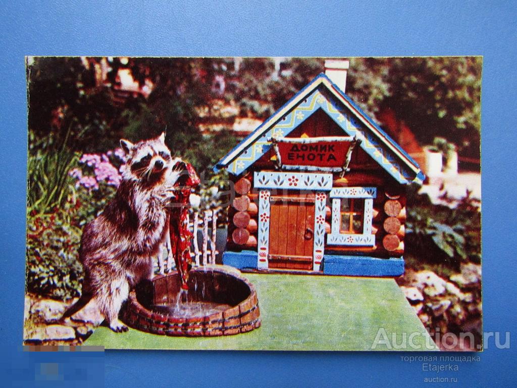 Енот. Домик. Ох ,устал  . 1971.   Уголок Дурова. Зоопарк. Птицы. Животные. 