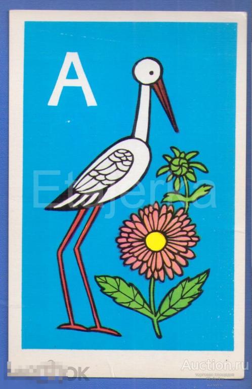 Аист  Астра  1978   Храмцова  Азбука   Птица. чистая  Буква А 
