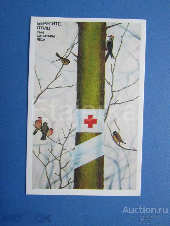 Берегите птиц .    1989.  Календарик. Снегирь. Синица .  Медицина . 