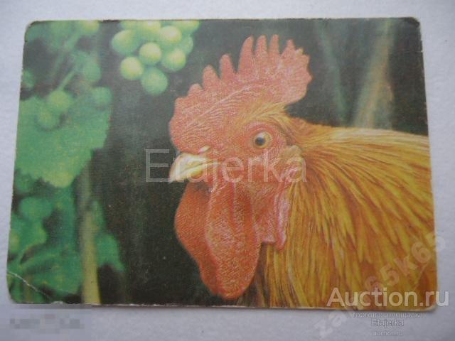 1993. Петух. Птица. Рикки птицы. календарик. 