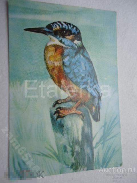 1983. Птицы. Прибалтика.  птицы. календарик. 